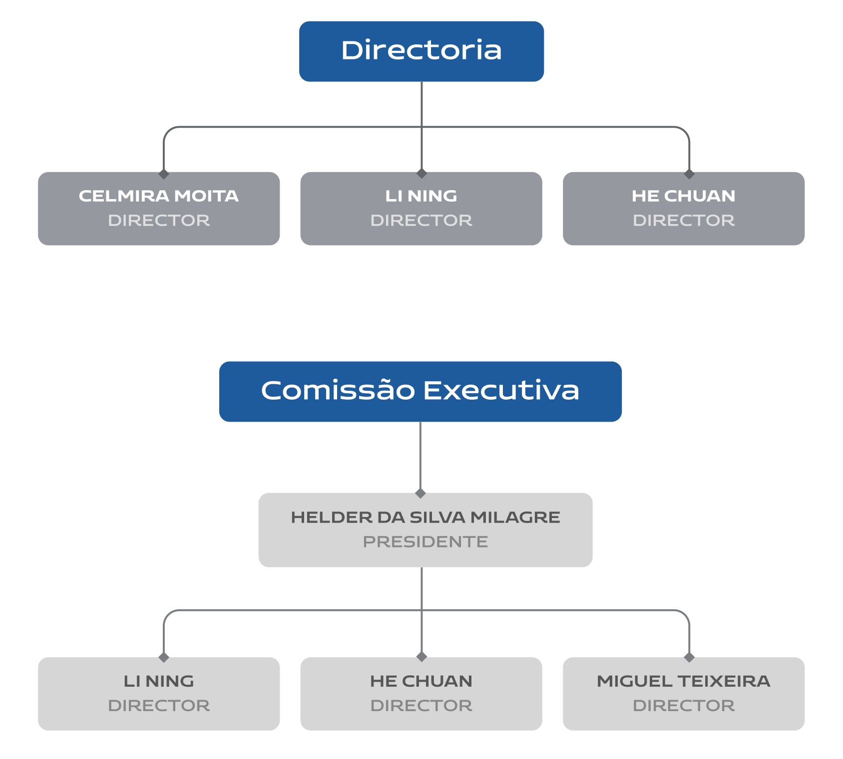 Organograma da diretoria e comissões da Mn Kitota